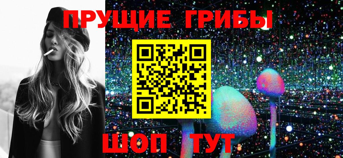 Псилоцибиновые грибы Psilocybine cubensis Реутов