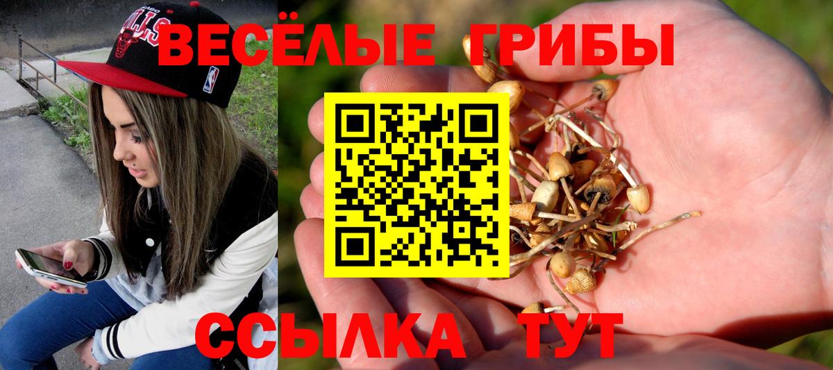 Псилоцибиновые грибы MAGIC MUSHROOMS  Вход с VPN  Реутов 